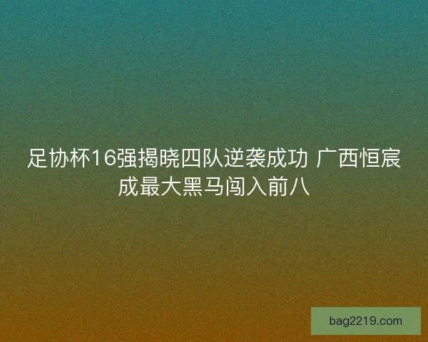足协杯16强揭晓四队逆袭成功 广西恒宸成最大黑马闯入前八