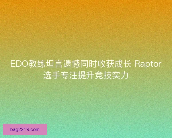 EDO教练坦言遗憾同时收获成长 Raptor选手专注提升竞技实力 EDO教练坦言遗憾同时收获成长 Raptor选手专注提升竞技实力