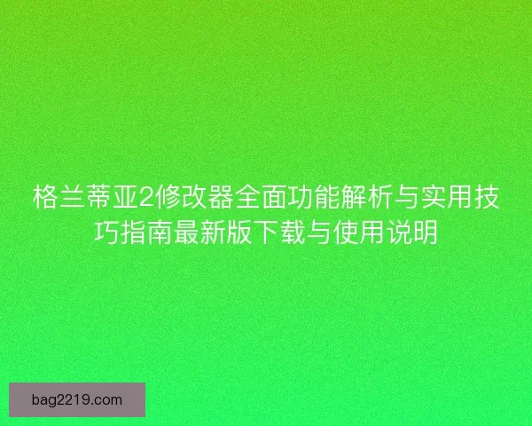 格兰蒂亚2修改器全面功能解析与实用技巧指南最新版下载与使用说明