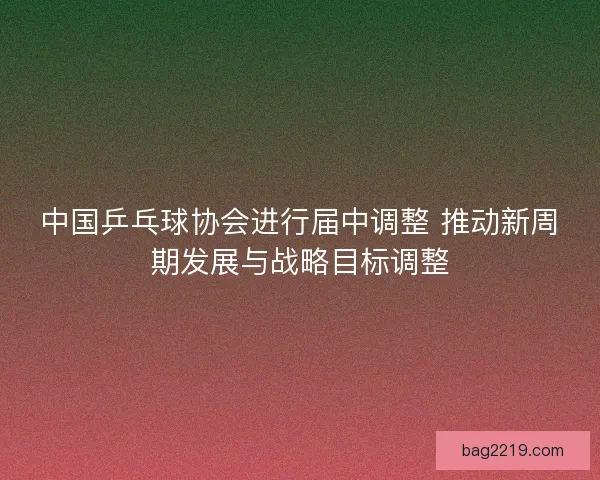 中国乒乓球协会进行届中调整 推动新周期发展与战略目标调整