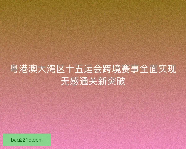 粤港澳大湾区十五运会跨境赛事全面实现无感通关新突破
